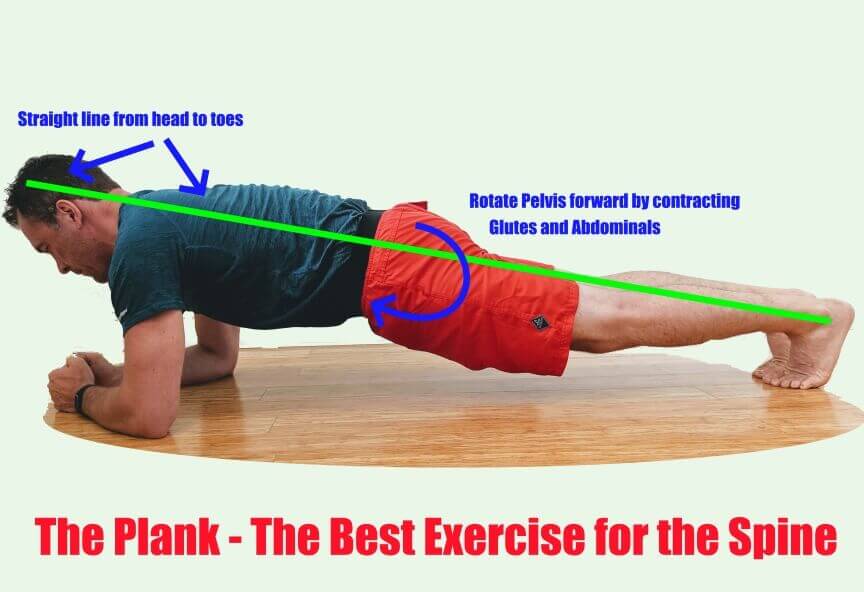 The Plank The Best Exercise for Your Spine